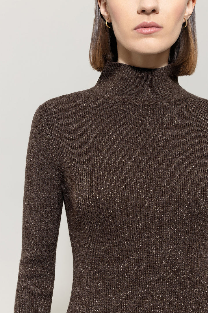 Close-up of a person wearing a brown turtleneck sweater against a plain background