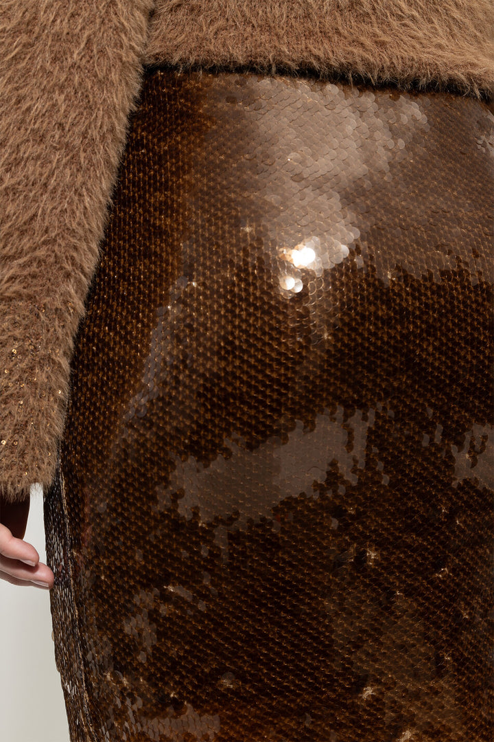 Close-up of a brown sequined garment with a blurred background
