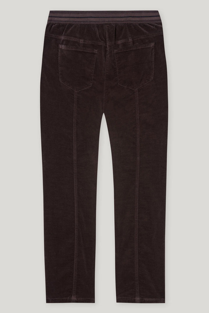 Dark brown velvet pants on a light gray background